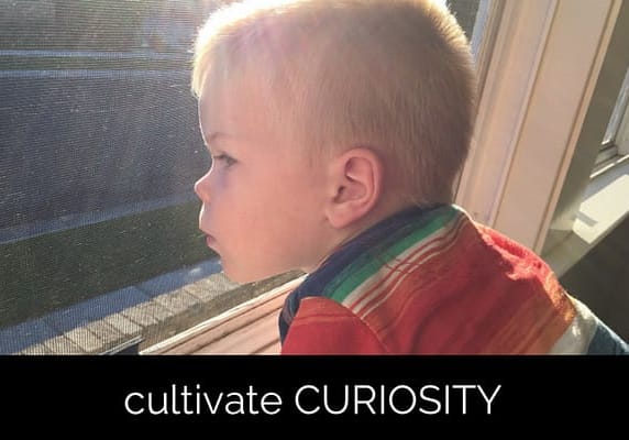 CURIOSITY